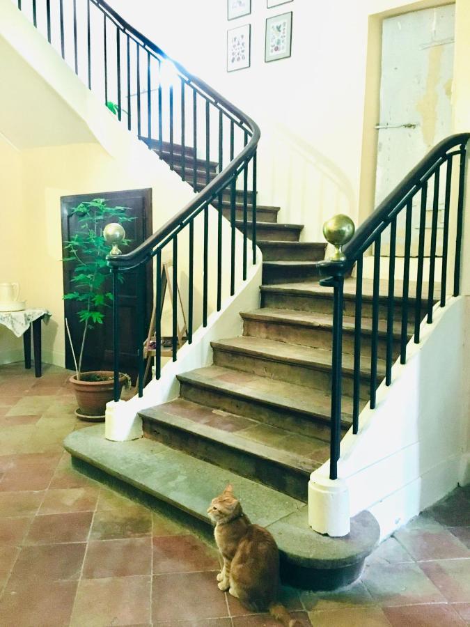 Le Domaine De Bed & Breakfast